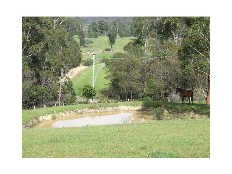Lot 16 Tallowood Drive, Milton NSW 2538