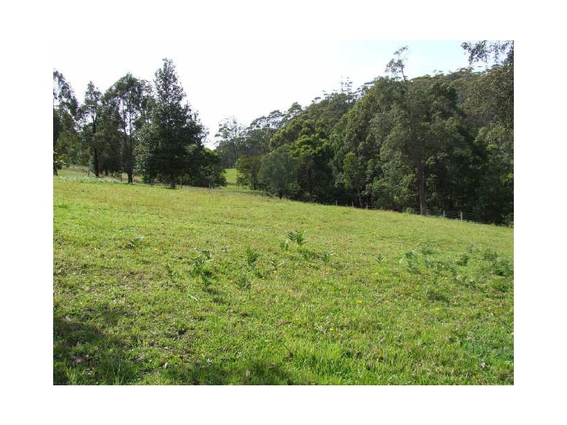 Lot 16 Tallowood Drive, Milton NSW 2538