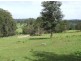 Lot 16 Tallowood Drive, Milton NSW 2538