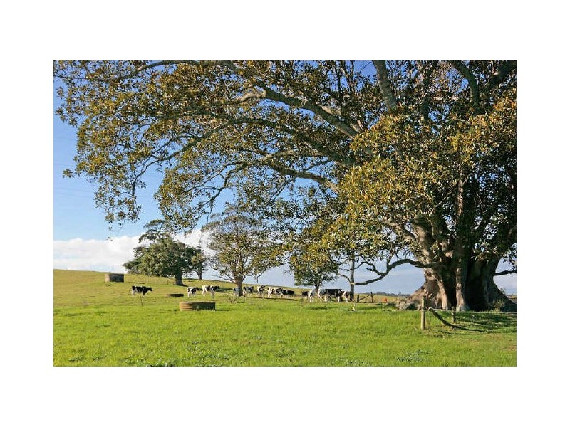 46 Ringland Lane, Milton NSW 2538