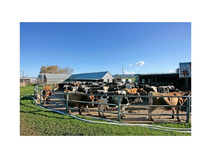 46 Ringland Lane, Milton NSW 2538