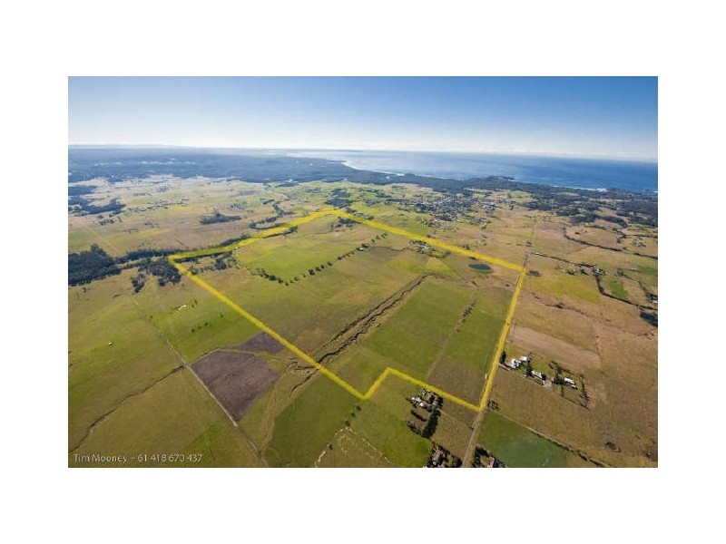 46 Ringland Lane, Milton NSW 2538