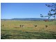 46 Ringland Lane, Milton NSW 2538