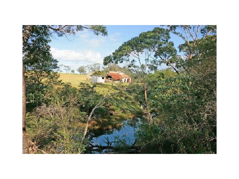 46 Ringland Lane, Milton NSW 2538
