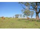 46 Ringland Lane, Milton NSW 2538