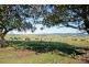 46 Ringland Lane, Milton NSW 2538
