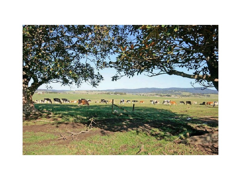 46 Ringland Lane, Milton NSW 2538