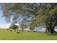 46 Ringland Lane, Milton NSW 2538