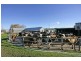 46 Ringland Lane, Milton NSW 2538