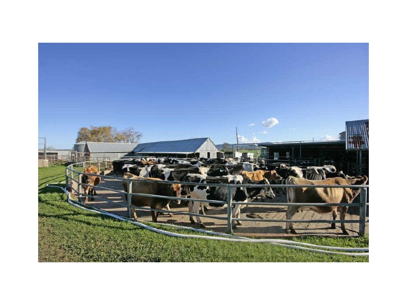 46 Ringland Lane, Milton NSW 2538