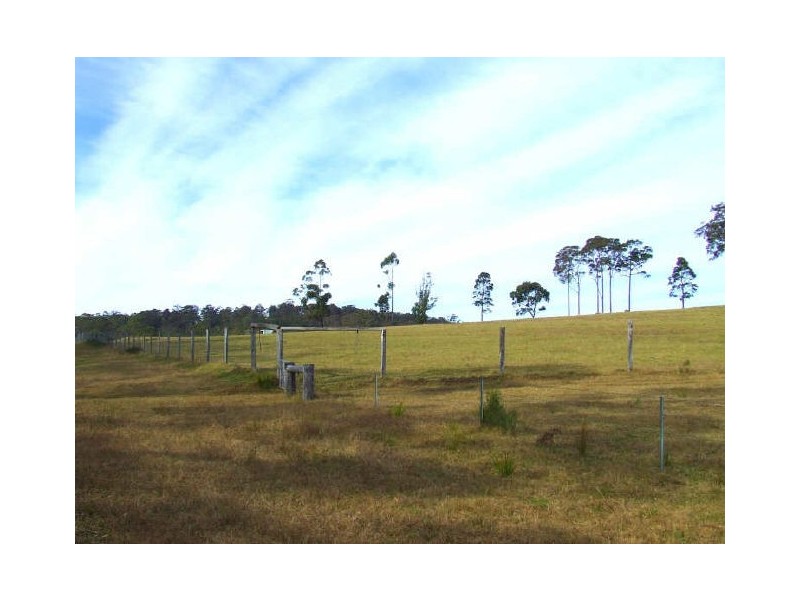 123 Forster Drive, Bawley Point NSW 2539