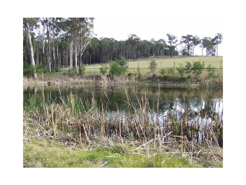 123 Forster Drive, Bawley Point NSW 2539