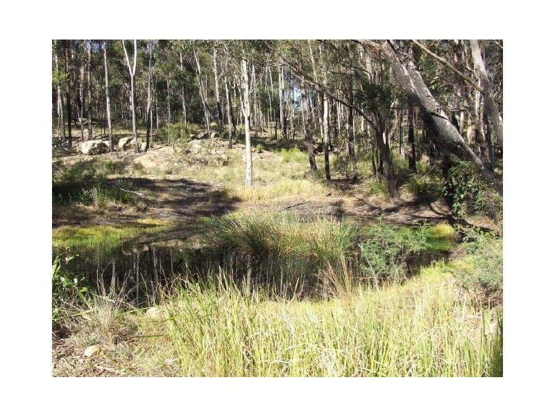 123 Forster Drive, Bawley Point NSW 2539