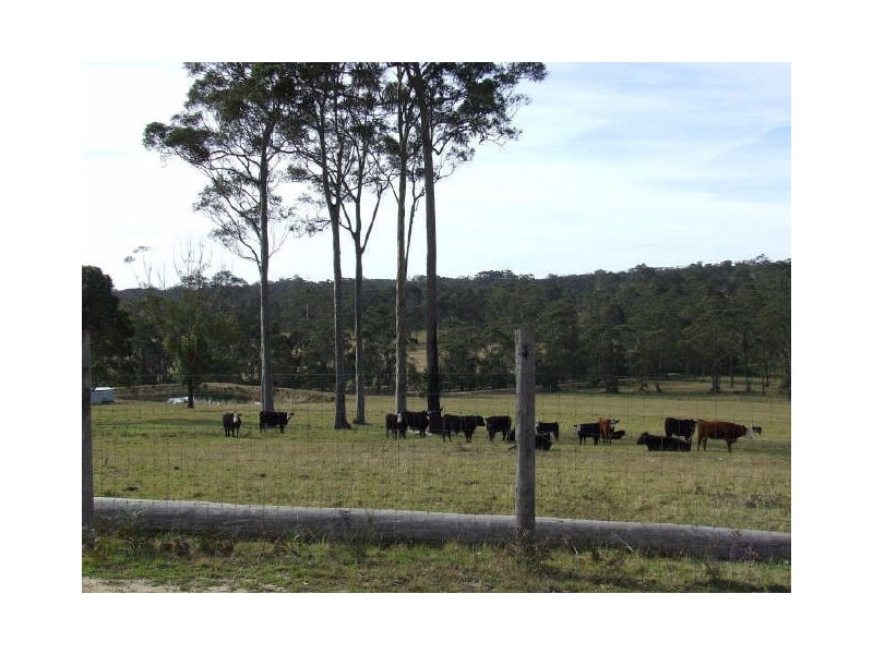 123 Forster Drive, Bawley Point NSW 2539