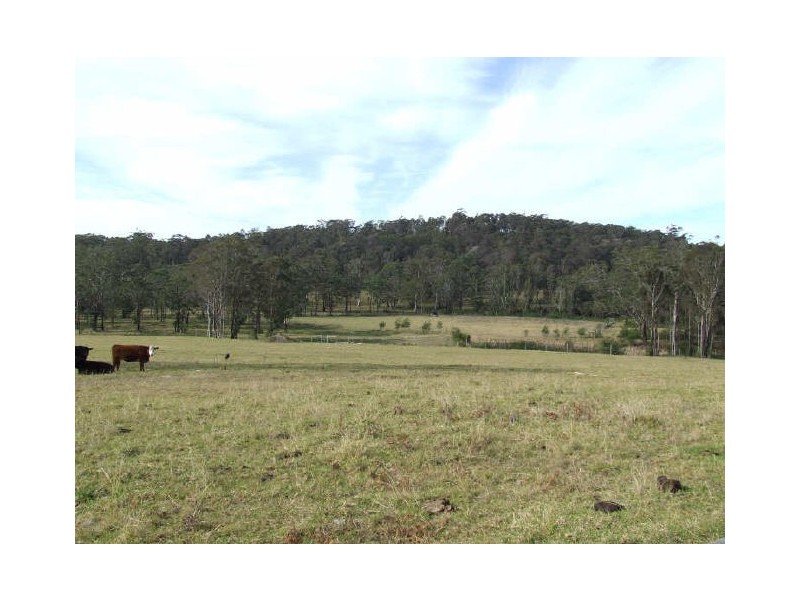 123 Forster Drive, Bawley Point NSW 2539