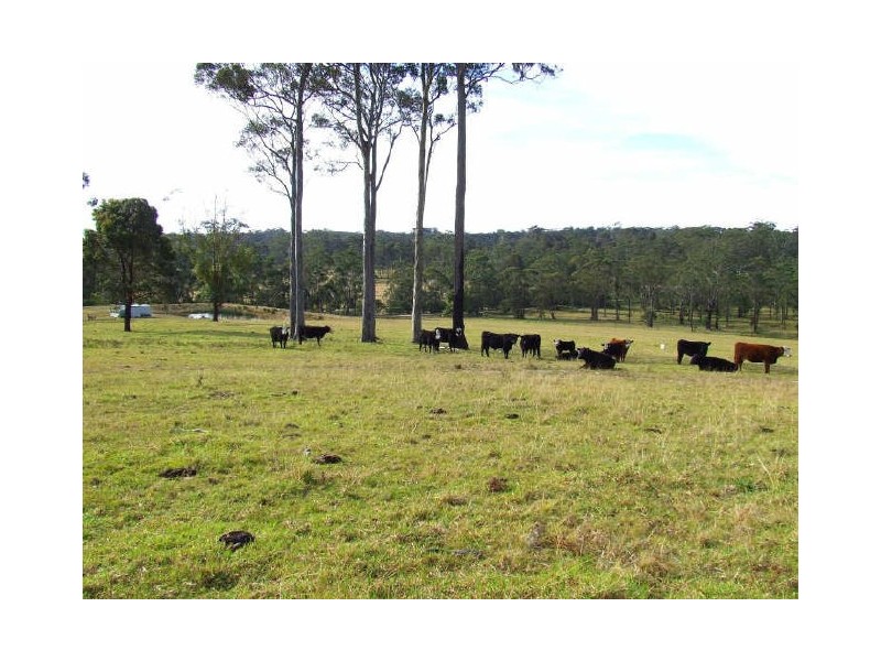 123 Forster Drive, Bawley Point NSW 2539