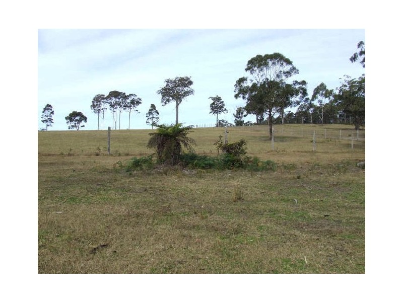 123 Forster Drive, Bawley Point NSW 2539