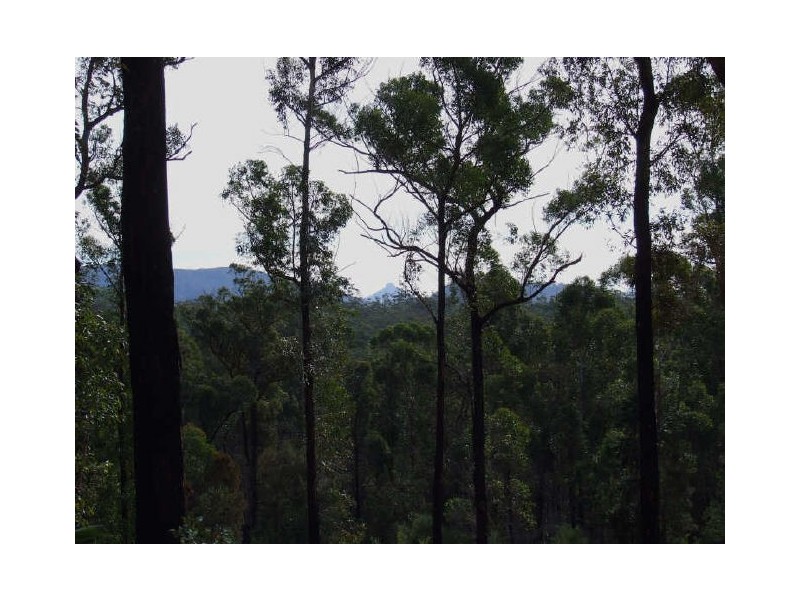 123 Forster Drive, Bawley Point NSW 2539