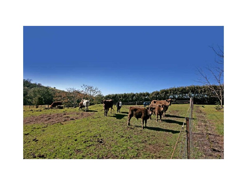 244 Evans Lane, Milton NSW 2538