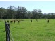 82B Little Valley Way, Milton NSW 2538
