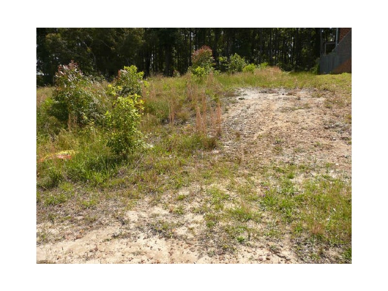 87 Leo Drive, Narrawallee NSW 2539