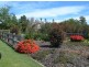 584B Croobyar Road, Milton NSW 2538