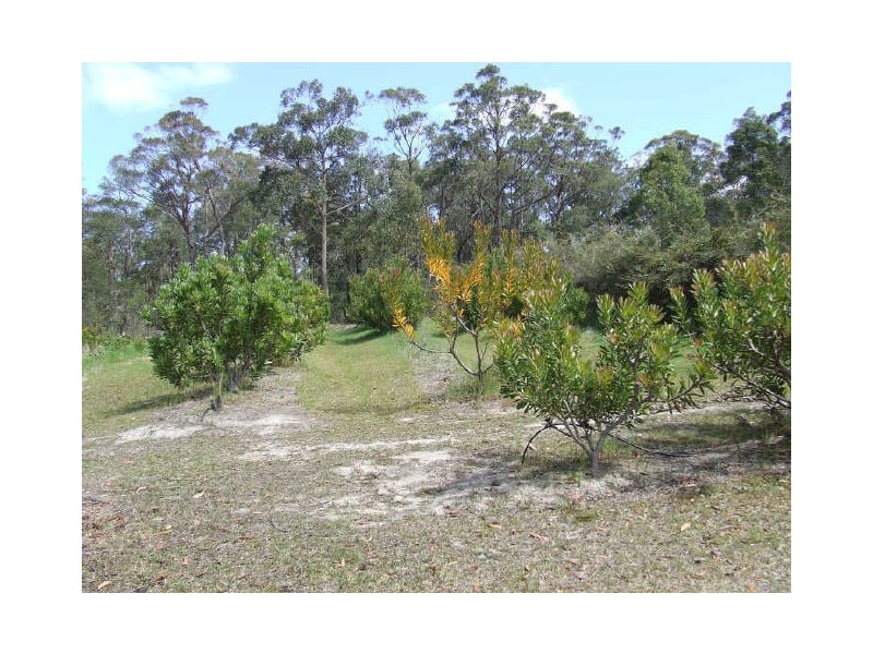 96 Bawley Point Road, Bawley Point NSW 2539
