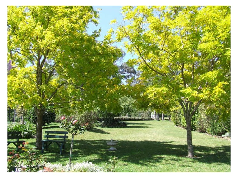 86 Slaughterhouse Road, Milton NSW 2538