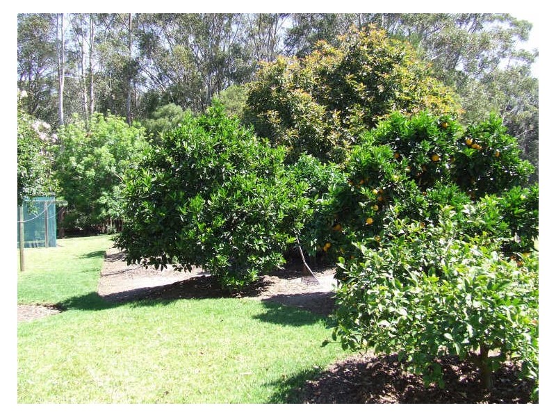 86 Slaughterhouse Road, Milton NSW 2538