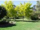 86 Slaughterhouse Road, Milton NSW 2538