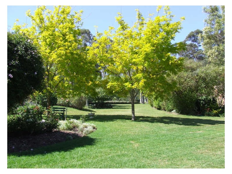 86 Slaughterhouse Road, Milton NSW 2538