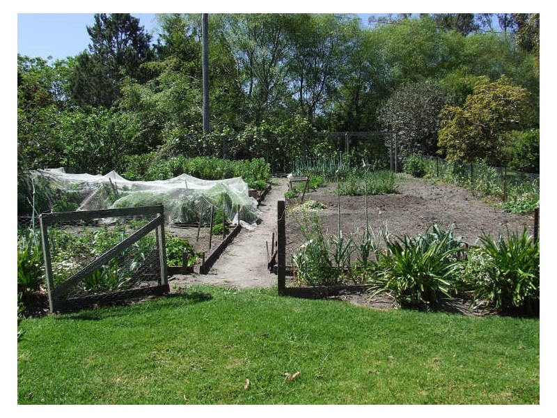 86 Slaughterhouse Road, Milton NSW 2538