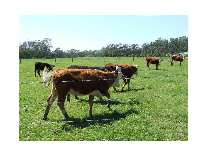 82B Little Valley Way, Milton NSW 2538