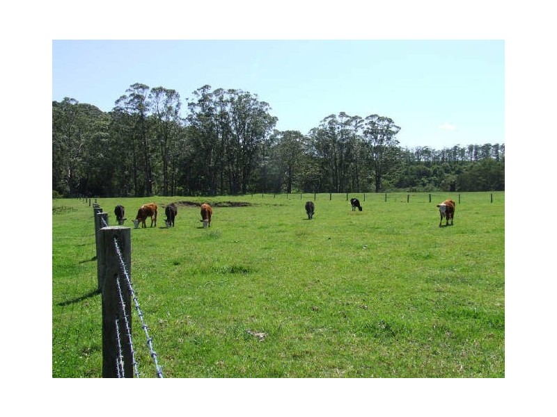 82B Little Valley Way, Milton NSW 2538