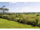 16 Hobbs Lane, Milton NSW 2538