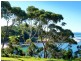 12 Shipton Crescent, Mollymook NSW 2539