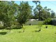 65 Wallaroy Drive, Burrill Lake NSW 2539