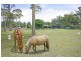 35 Princes Highway, Lake Tabourie NSW 2539