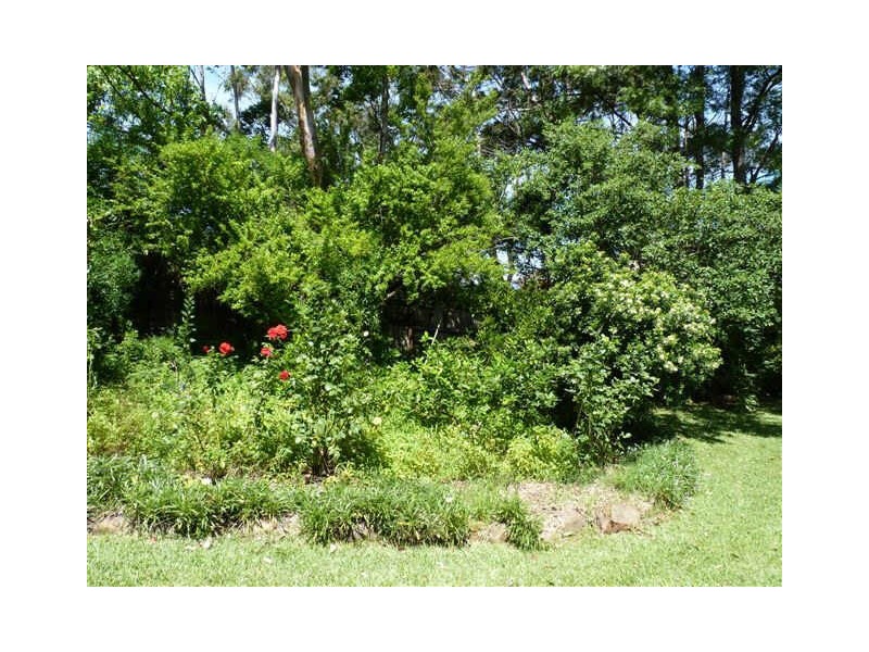 52 Croobyar Road, Milton NSW 2538