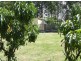 33 Cornfield Parade, Fishermans Paradise NSW 2539