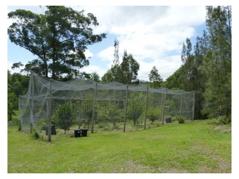 140E Narrawallee Creek Road, Lake Conjola NSW 2539