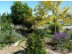 3 Drury Lane, Milton NSW 2538