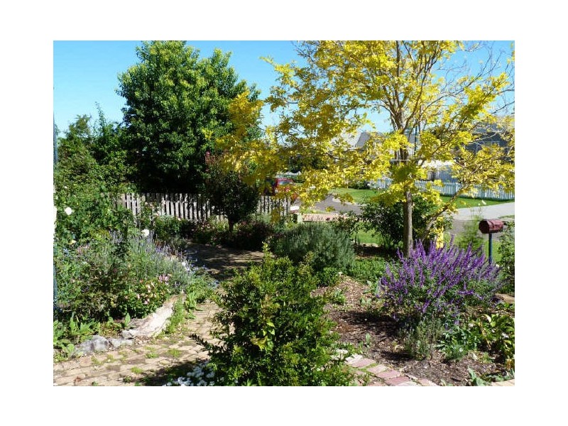 3 Drury Lane, Milton NSW 2538