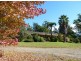 176 Bawley Point Road, Termeil NSW 2539