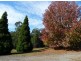 176 Bawley Point Road, Termeil NSW 2539