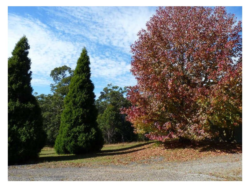 176 Bawley Point Road, Termeil NSW 2539