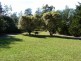 176 Bawley Point Road, Termeil NSW 2539