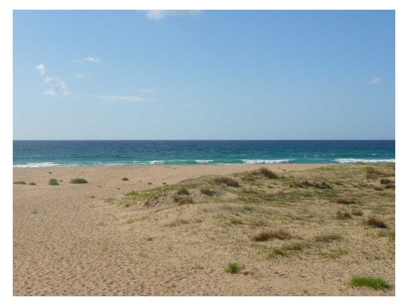 10 Murilla Avenue, Bawley Point NSW 2539