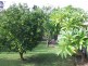 71 Anglers Parade, Fishermans Paradise NSW 2539