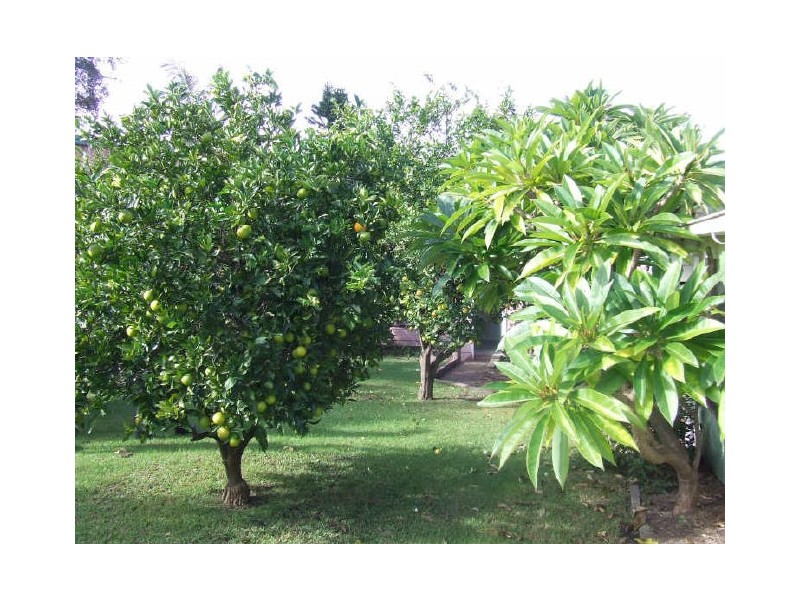 71 Anglers Parade, Fishermans Paradise NSW 2539